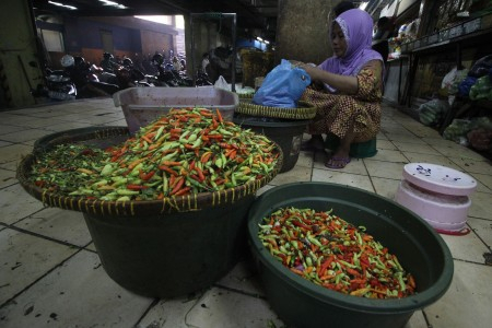 BUMN  Kucurkan Cabai ke Pasar, Pedagang Mengeluh Ukuran Kecil