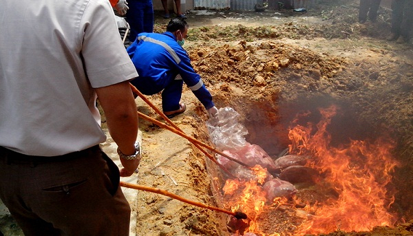 Kepolisian  Nunukan Sita Puluhan Daging Selundupan dari Malaysia