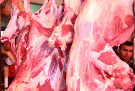 Akhir Juli, Bulog Datangkan Daging Kerbau dari India
