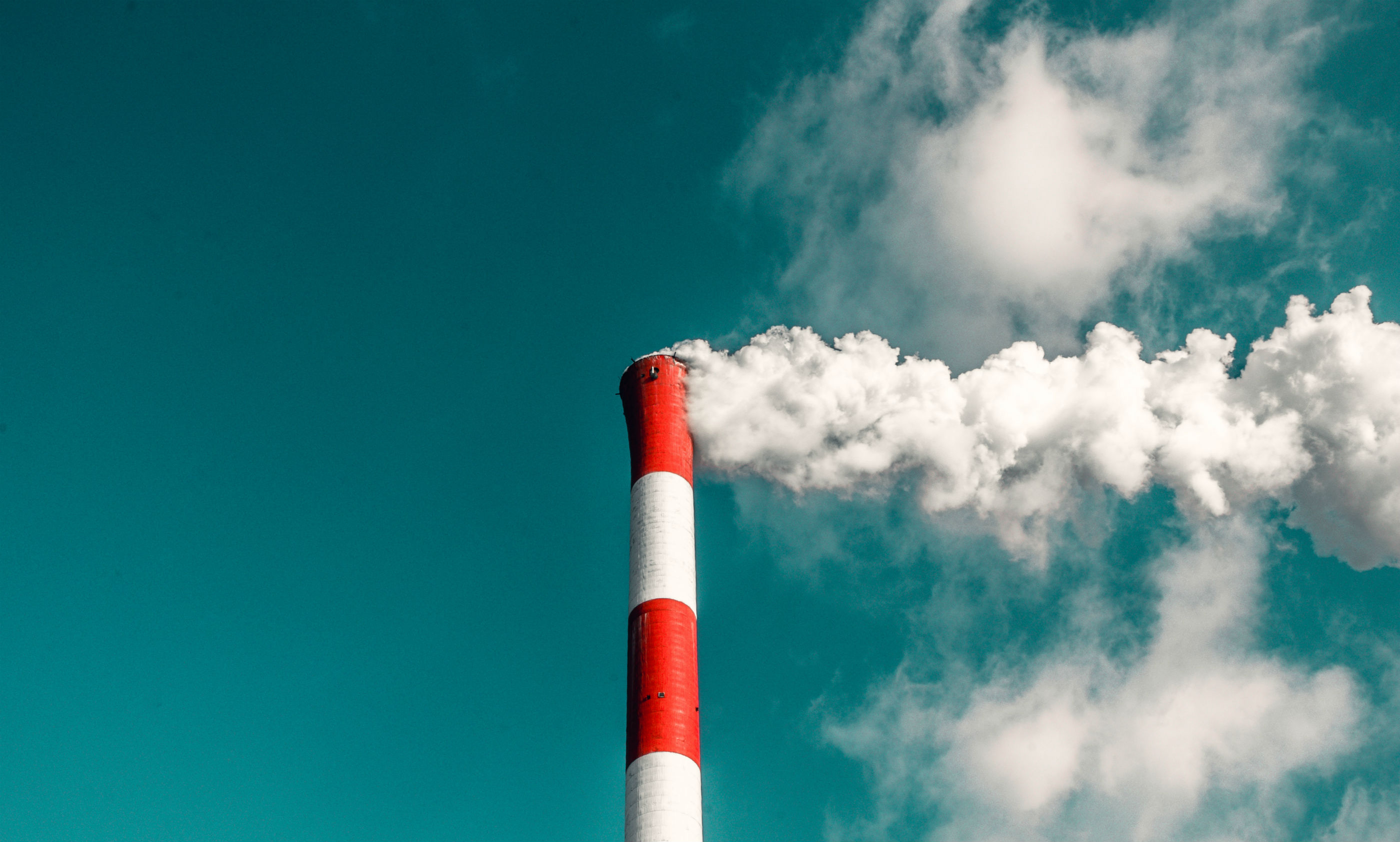 Rise for Climate, Bangun Kesadaran Perubahan Iklim Melalui Tokoh Lintas Agama