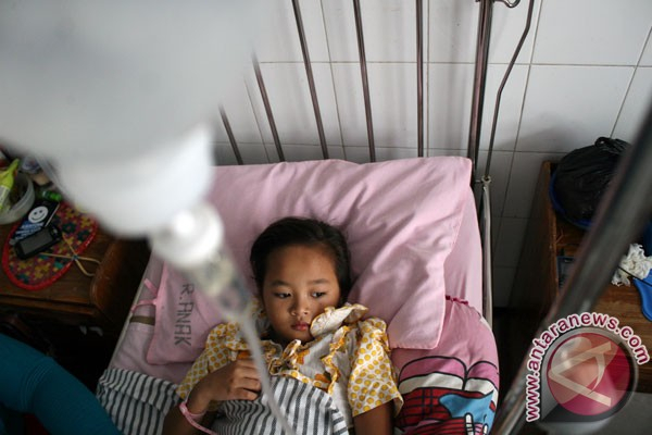 10 Siswa SD di Situbondo Meninggal Terkena Demam Berdarah