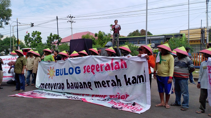 Ini Penyebab Ratusan Petani Bawang Merah Tegal Demo Bulog