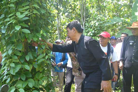 Angkat Produk Unggulan, Desa ini Gelar Festival Mrica