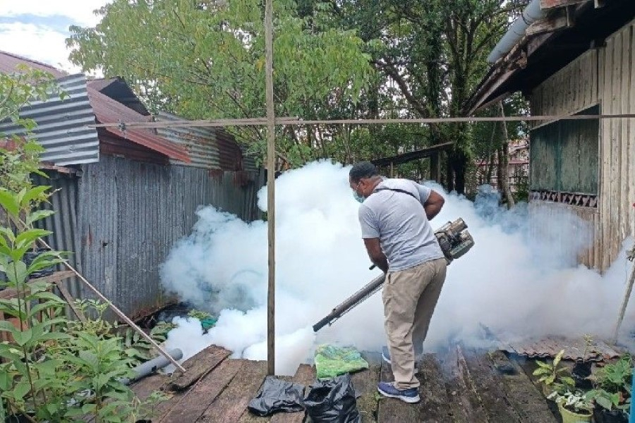 Status KLB DBD di Asmat, Papua
