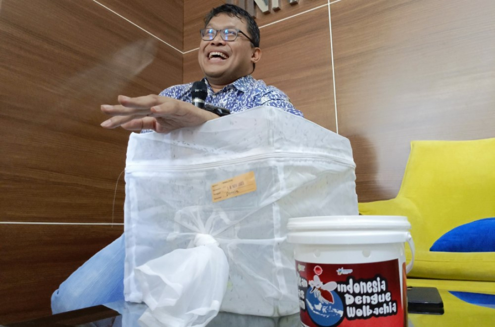 Teknologi Nyamuk Wolbachia Tekan 77 Persen Kasus DBD di Yogyakarta