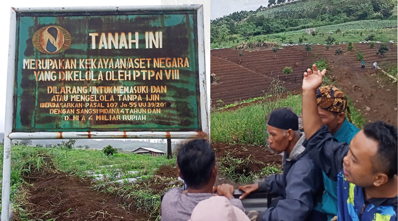 Petani Langensari Vs PTPN: Potret Kegagalan Reforma Agraria