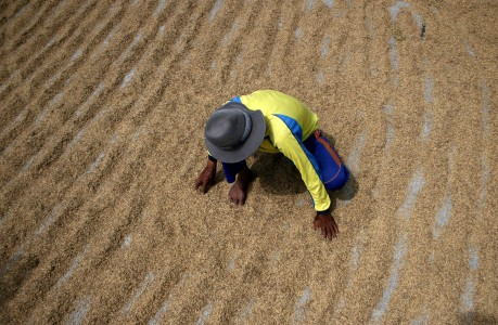 Antisipasi Inflasi, Pemda Bali Bentuk Resi Gudang Gabah
