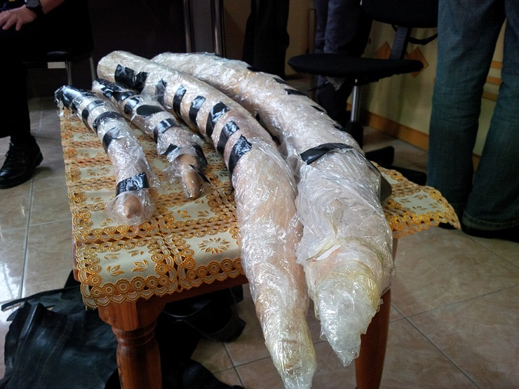 Otoritas Vietnam Sita  8 Ton Gading Gajah dan Sisik Trenggiling