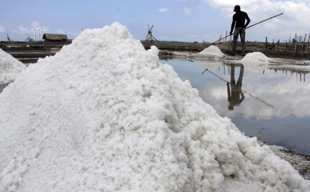 BUMN Diminta Modernisasi Produksi Garam Lokal