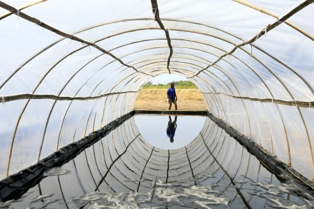 Harga Anjlok, Pemerintah Dinilai Sepelekan Garam
