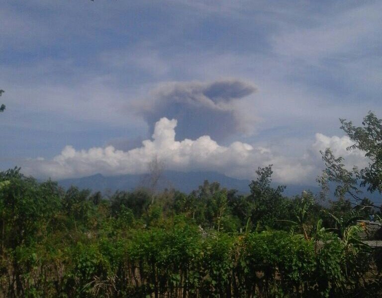 Gunung Baru Jari Meletus, Penerbangan di Bandara Ngurah Rai Batal