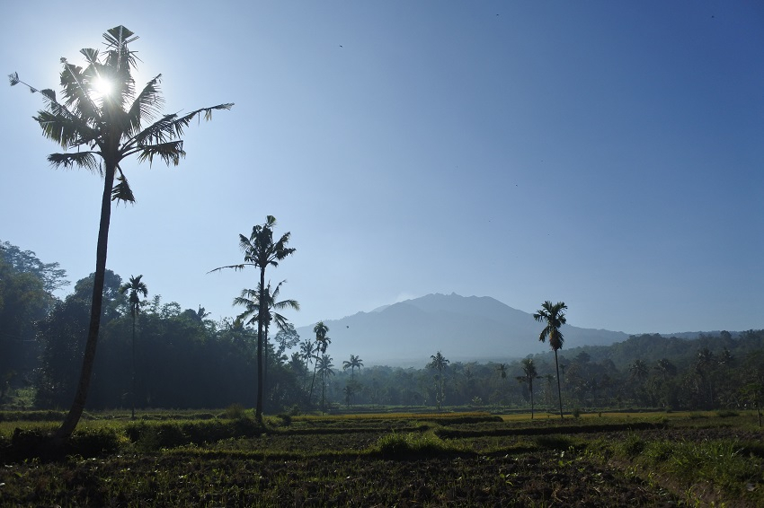 Gunung Raung Erupsi, Penerbangan di Banyuwangi Tetap Normal