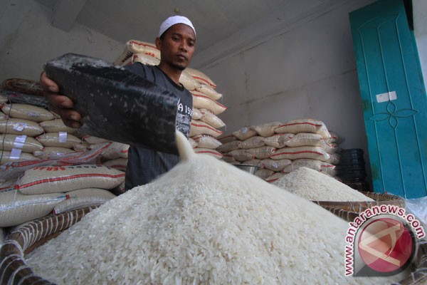 Pemerintah Perlu Audit Beras