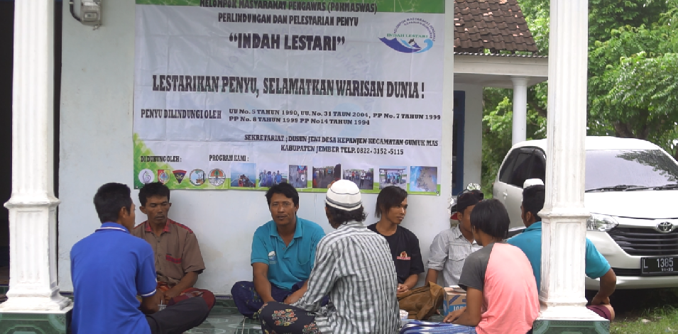 Di Jember ada Masyarakat Pengawas (Pokmaswas) Perlindungan dan Pelestarian Penyu Indah Lestari. 