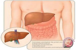 Penderita Hepatitis Bondowoso Tembus 100 Pasien