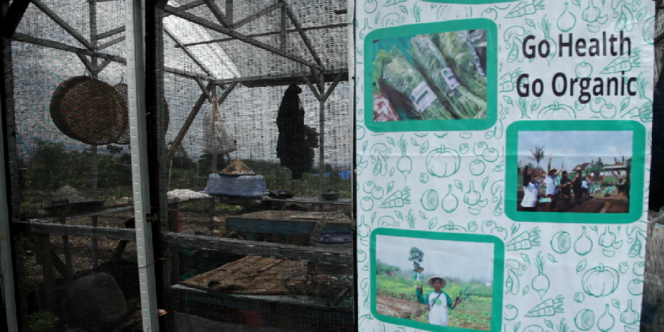 Kampung Ekologi juga mengusung pertanian organik. 