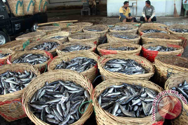Pabrik Tepung Ikan di Kotawaringin Barat Selesai November 2016