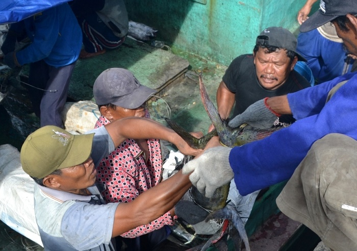Cuaca Buruk, Nelayan Tuna Cilacap 2 Tahun Paceklik