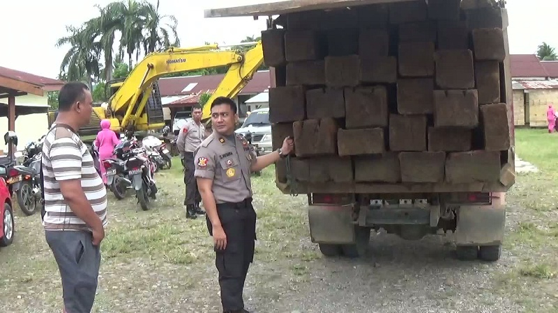 Kepolisian Mukomuko Sita  Kayu Diduga dari Taman Nasional Kerinci Seblat