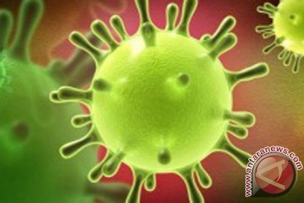 Kemenkes Tegaskan MERS Belum Pernah Masuk ke Indonesia