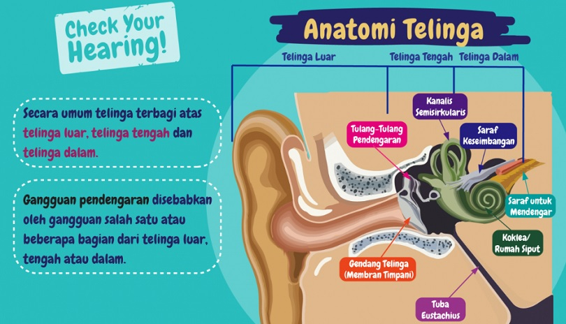 Kemenkes Ingatkan Bahaya Gangguan Pendengaran, Ini Pencegahannya