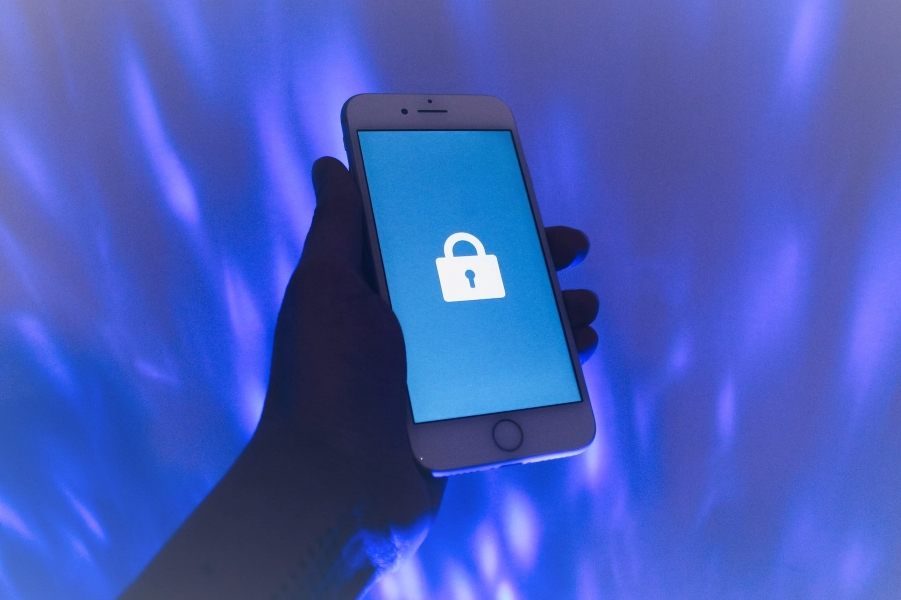 Paradoks Pemerintah soal Digitalisasi