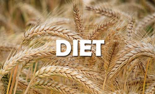 Diet Jenis Ini Bisa Kurangi Perilaku Autis