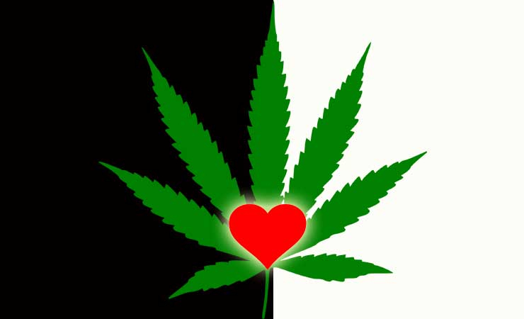 Manfaat Ganja