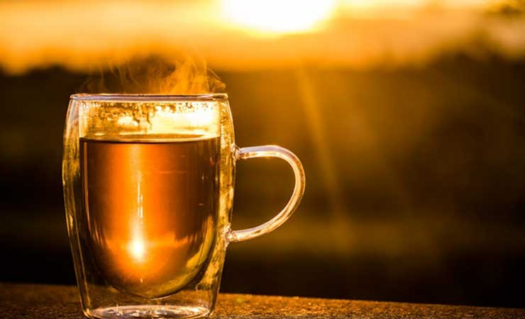 Kombucha, Minuman Kesehatan Kuno yang Kian Trendi