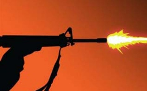 Baku Tembak di Papua, Dua Anggota Kelompok Lekagak Telenggen Tewas 