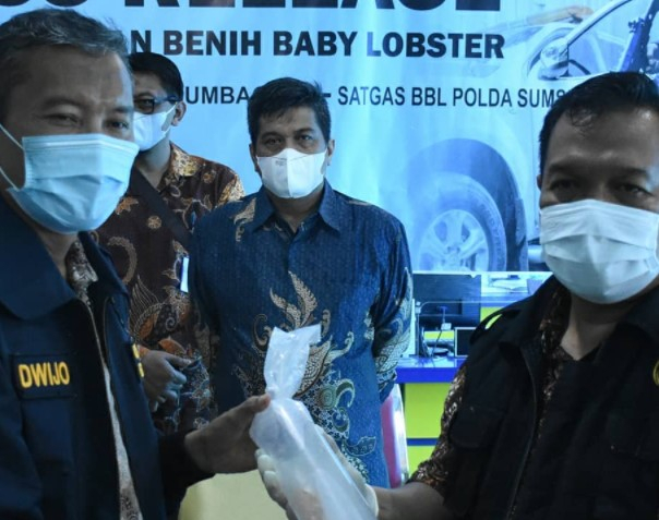 2020, Dilakukan 8 Ribu Kali Penangkapan BKC Ilegal