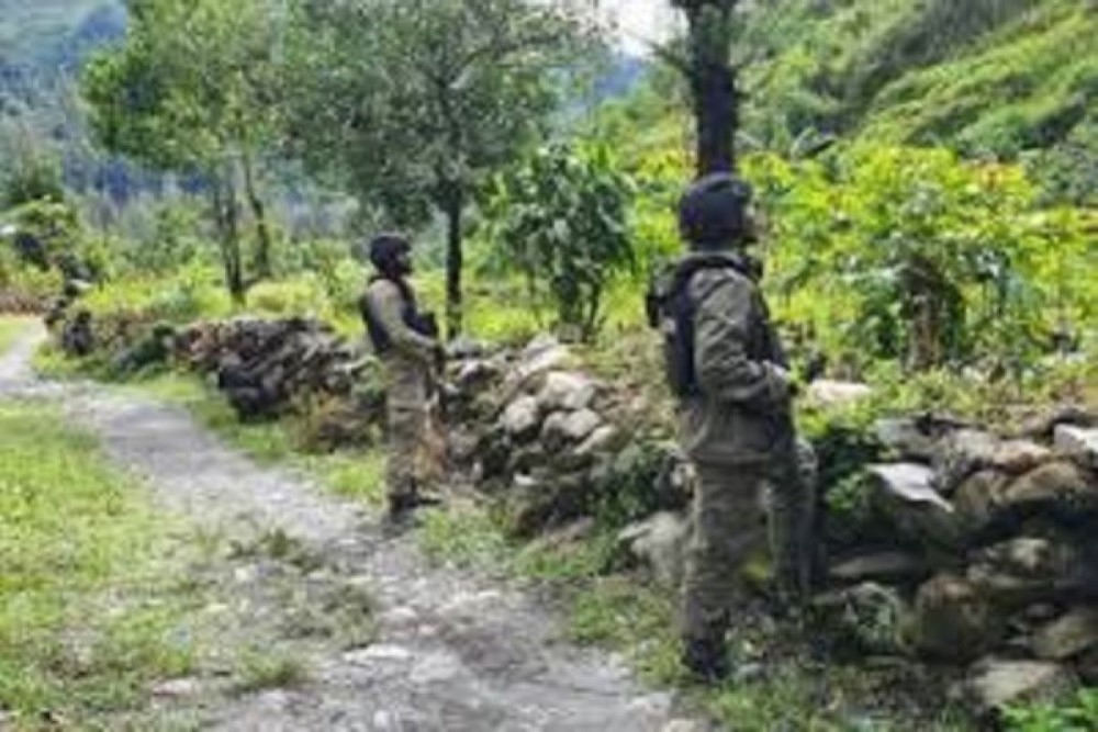 Perubahan KKB Jadi OPM, Komnas HAM Papua Dorong Dialog Kemanusiaan