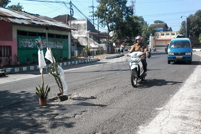 Bondowoso Darurat Jalan Berlubang 