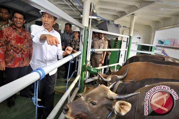 Kapal Sapi Kosong, Tawaran Bulog Kalah Bersaing