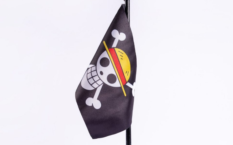 Bendera One Piece, Ekspresi dan Kritik Sosial Masyarakat 