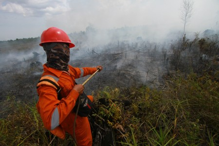 KLHK: Tiga Perusahaan di Kalbar Jadi Tersangka Karhutla