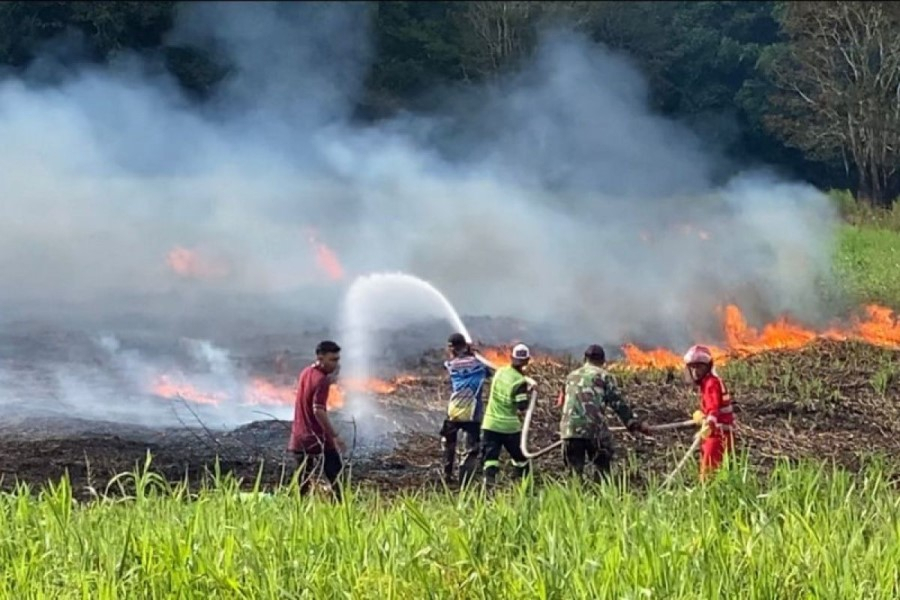 BNPB: Ada 59 Bencana dalam Sepekan, Terbanyak Karhutla