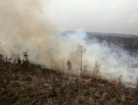Karhutla, Pasien ISPA di Bengkalis meningkat