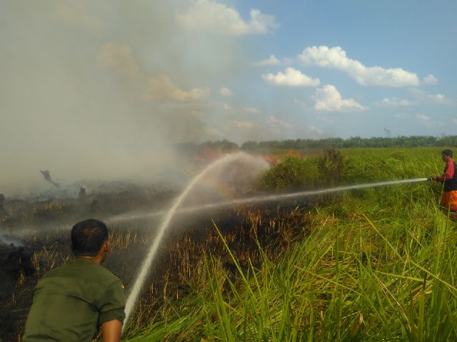 [SP3 Karhutla] Mabes Kirim Tim Evaluasi Putusan Polda Riau