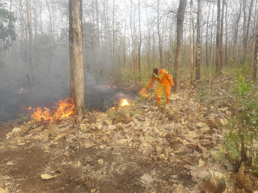 Kebakaran  Meluas, Taman Nasional Baluran Ditutup 
