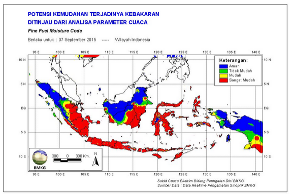 Kerugian Akibat Pembakaran Lahan di Jambi Capai lebih 700 Miliar