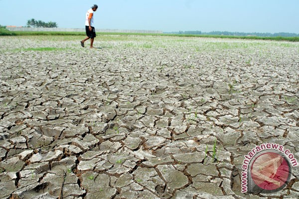 Indonesia Terancam Krisis Produk Pertanian
