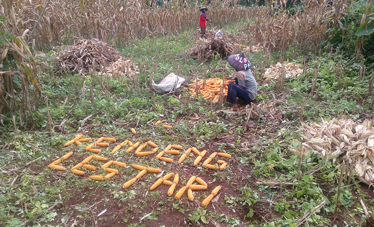 Tambang Semen Membelah Rembang (1)