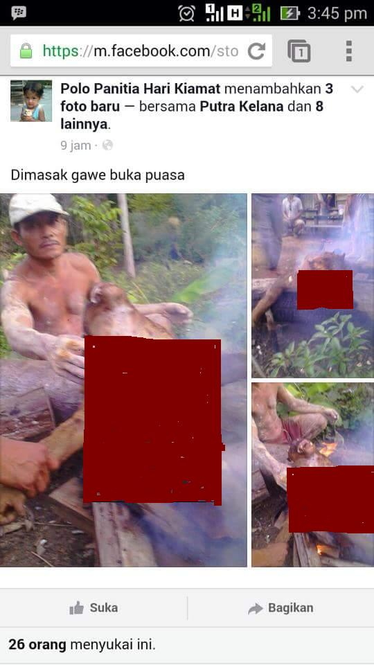 BKSDA Kalteng Tengah Identifikasi Pelaku Pemanggangan Orangutan 