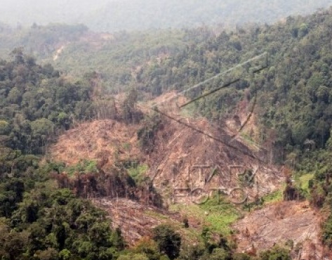 Gugatan Kawasan Ekosistem Leuser,  Kemendagri: Evaluasi  Pemprov  Tunggu Putusan Inkrah