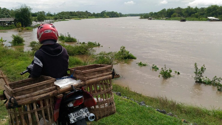 Hampir Seluruh Tanggul Sungai di Jombang, Kritis