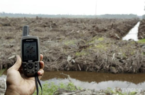 Asia Pulp and Paper Langgar Komitmen Konservasi Hutan