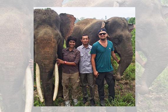 Kelestarian Leuser, HAKA : Kalau Leonardo Bisa Peduli, Kenapa Kita Tidak?