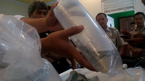 KKP Gagalkan Penyelundupan Bibit Lobster ke Vietnam Melalui Singapura.