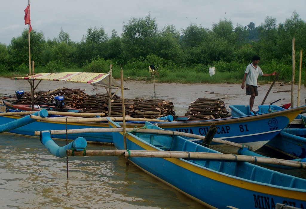 Hutan Mangrove Berkurang, Tangkapan Nelayan Segara Anakan Minim